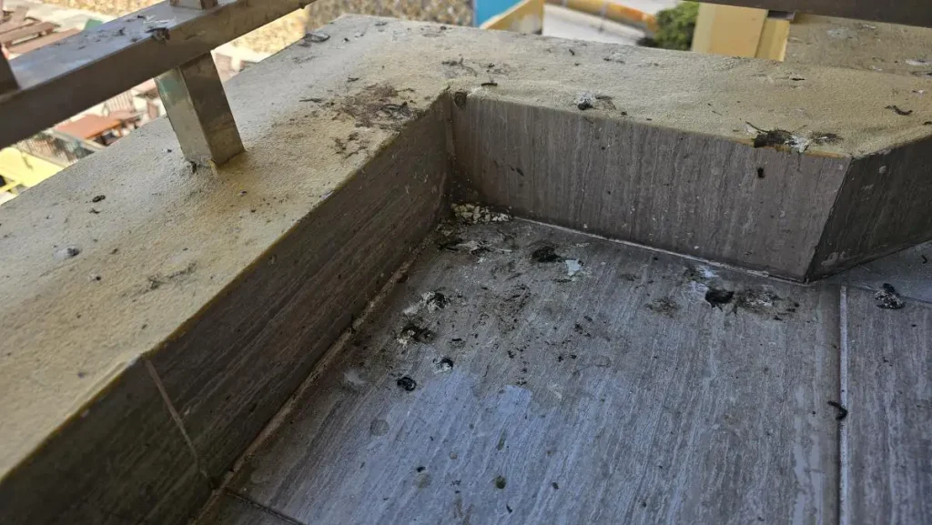 Foto: Vogelkot auf dem Balkon im 4-Sterne Hotel - für TUI kein Grund zur Beanstandung.